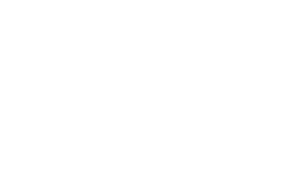 Corresponding truck licence image